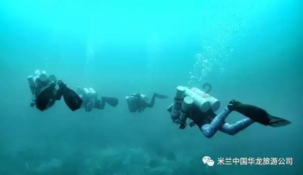 中餐厅之小凯厨神